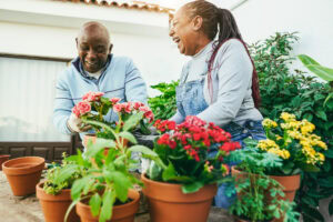 Embracing Culture, Community, and Connection in mental health - amend treatment