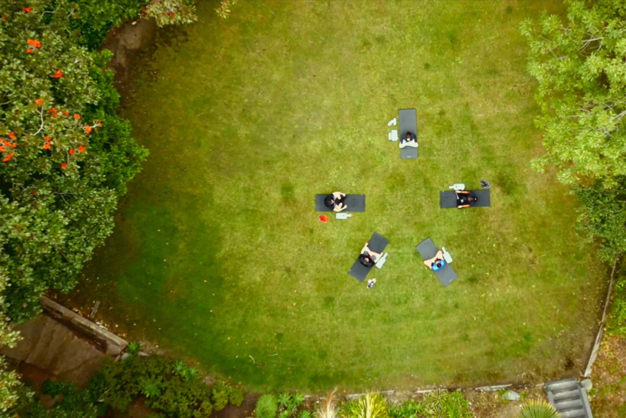 Group of five people practing yoga in a peaceful grassy area.