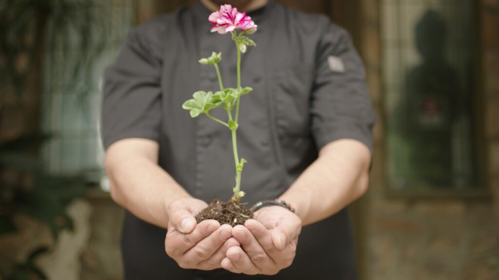 Person holding singular flower